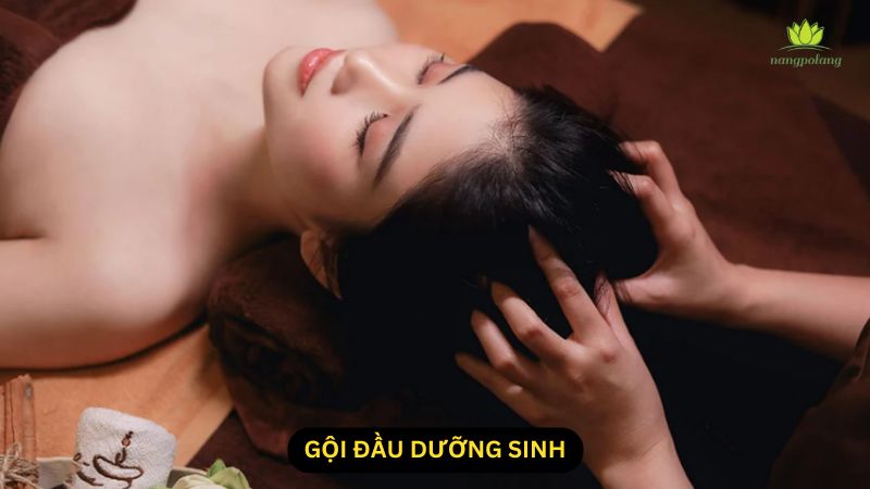 gội đầu dưỡng sinh